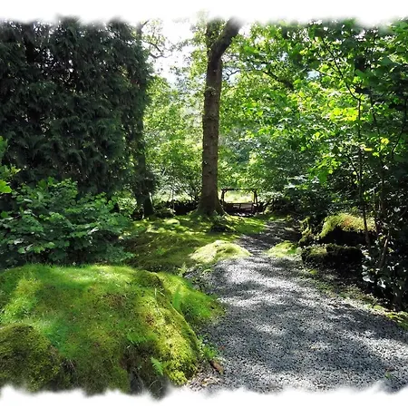 Blelham Tarn Rustic In Tranquil Woodland Holiday home *