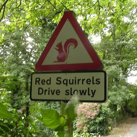 Blelham Tarn Rustic In Tranquil Woodland בית נופש