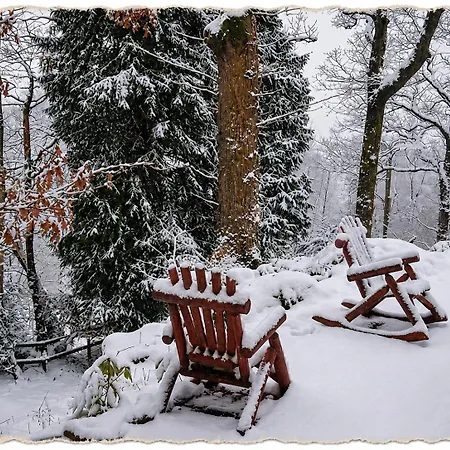 Blelham Tarn Rustic In Tranquil Woodland Semesterbostad Ambleside
