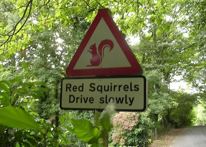 Blelham Tarn Rustic In Tranquil Woodland בית נופש